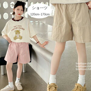 yP2{I2080~2038~ 11/11܂Łz؍q ̎q JWApc y[W sN Y{ {gX Y{  pc Ē o w qǂ ǂ ̎q 킢