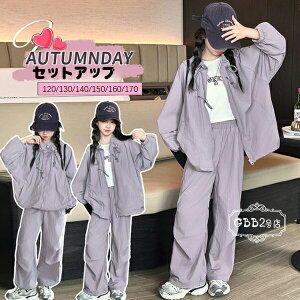 y4380~3942~ 8%COUPON+P2{!11/27 01:59܂Łz؍q ̎q ZbgAbv p[v t@bV ㉺Zbg JWA X^hJ[ R[g XEFbgpc i ʊw ^