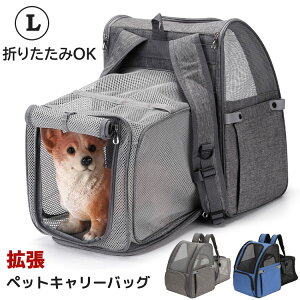 yP2{!11/11܂ŁzybgL[obO g ܂݉\ ybgbN ybg L[ L   ˂ p Oo s ʉ@ ЊQ o O[u[ L ybgL