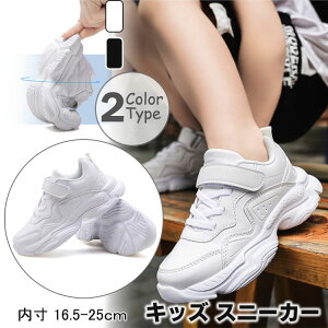 yN[|ő1000~OFF!zLbY Xj[J[   j̎q ̎q 2^Cv ~ w V[Y 16.5 17 18 19 20 21 22 23 24 25cm WjA JWAV[Y  h }WbNe[v a