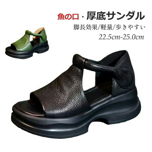 yP2{!11/11܂ŁzI[vgDEFbW\[T_ fB[X y ~ ʋC NbV lԍHwɊÂfUC r JWAEH[LOV[Y ʋ 