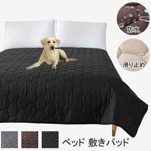 yP2{I2980~2920~ 12/11 01:59܂Łzh ~pbh hpbh xbhpbh ~pbh xbh}bg ~Jo[ }bgXJo[ }bgX hoJo[ h~  Lp ʋC 