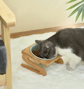 �yP5�{�I����12/26 01:59�܂Łz�L�H�� �L�M�H�� �y�b�g �{�E�� �� �t�[�h�{�E�� �H��� �y�b�g�{�E���X�^���h�Z�b�g ���H��X�e�����X �� ���߉\ ��ւ̕��S�y�� ��e�� �ؐ� �y�b�g�M ����~