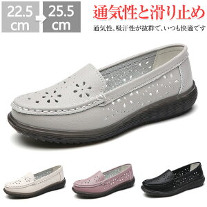 JV fB[X V[Y JV Xb| fB[X ₷  hCrOV[Y {v h Xb| [t@[ Xj[J[ L  fbLV[Y ʋC y 