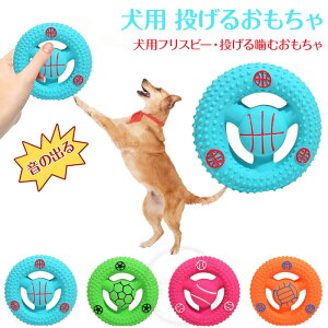 tXr[p     p tXr[ 邨 nh^ ނ   ϋv ɂ   S  XgX ^s