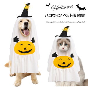 nEB ybg L  nEBybg }g H nEB  RX`[ L  RXv H J{` ybg Xq P[v |Pbgt  ߑ Ԃ 