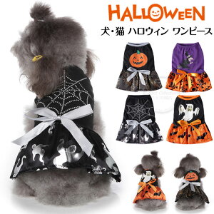 nEB ybg  nEB  ybg  s[X XpC_[ H  ^  s[X ybgEFA ̕ 킢  hbOEFA  ybg  H ~ 