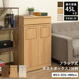 [5%OFFクーポン] ごみ箱 ゴミ箱 ダストボックス 蓋つき ふた付き 引出し付き キャスター付き ダストボックス 2分別 53cm幅 木目調 45L×2スペース フラップ式ダストボックス キッチン スリム 90L トラッシュボックス 角型 くずかご