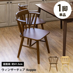 _CjO`FA  _CjO `FA ~w 1rPi ؐ ֎q It CX EBU[`FA Koppio X _CeA Vv NbV   41.5cm H k 