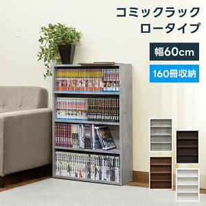 [5%OFFN[|] {I {[ R~bN[ { ^ R~bN[ X l炵 [^Cv 60cm I R~bNbN {I ȃXy[X VFt ubNVFt 4i CD[ DVD