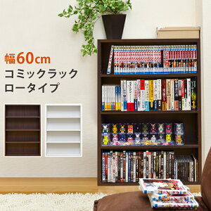 [5%OFFN[|] {I {[ R~bN[ { ^ R~bN[ X l炵 [^Cv 60cm I R~bNbN {I ȃXy[X VFt ubNVFt 4i CD[ DVD