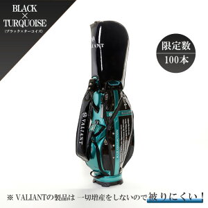 yXgAz2025 NEW VALIANT oAg St LfBobO Y VAA-005 ANZRNV i Gi StobO J[gobO hJ fUC   A v