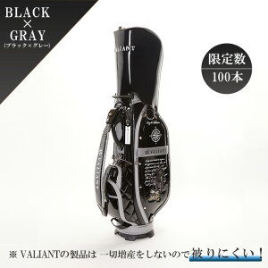 yXgAz2025 NEW VALIANT oAg St LfBobO Y VAK-002 CRNV i Gi StobO J[gobO hJ fUC   A v[