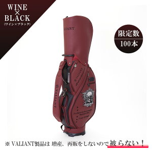 ys\zXgA 2025 NEW VALIANT oAgSt LfBobO Y VAS-010 XJRNV  v StobO J[gobO hJ fUC p[c 