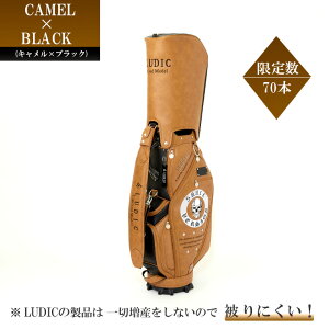 ybVFǉzs\ 2025 NEW LUDIC fBbN St LfBobO Y LDS-002 XJo[W i v StobO J[gobO hJ fUC   