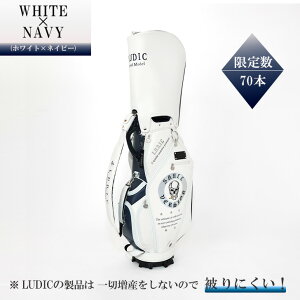 ybGOODAfځz2025 NEW LUDIC fBbN St LfBobO Y LDS-002 XJo[W i v StobO J[gobO hJ fUC   A 9.5C