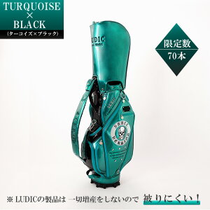 yXgAz2025 NEW LUDIC fBbN St LfBobO Y LDS-001 XJo[W i Gi StobO J[gobO hJ fUC   A 9.5C`