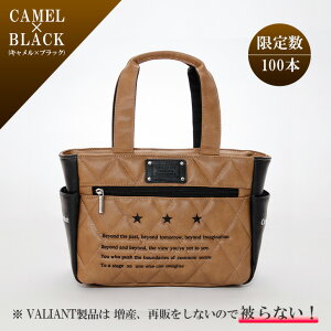 yXgAz2025 NEW VALIANT oAgSt Eh|[` VAC-001 JWARNV  v Y J[g|[` St|[`  hJ fUC  