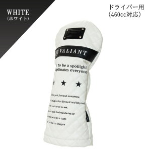 yXgAz2025 NEW VALIANT oAgSt wbhJo[ VAC-001 JWARNV zCg  v StJo[ hJ fUC   hCo[ t