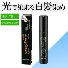 【特典あり】ルミナ リタッチ 20g 部分白髪染め スティックタイプ 光で染まる 地肌にやさしい 合成染料不使用 本体 レフィル 臭い気にならない