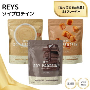 �y���T����zREYS���C�Y �\�C�v���e�C�� 1kg �P�i �\�C���e �J�t�F�I�� �`���R���[�g���� ���� �R�V �疾 �������� �r�^�~��7��z�� WPC�v���e�C�� �Ղ�Ă��� �z�G�C�v���e�C�� �������� �� �p