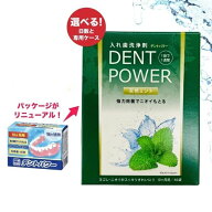 【選べる日数＆専用ケース付】デントパワー 入れ歯洗浄剤 5-10ヶ月分 強力・洗浄 義歯ケア 無香料タイプ …