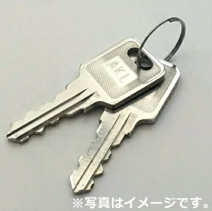 楽天市場】AKL用スペアーキー1本鍵/ロッカー鍵/1本の価格です。郵送 