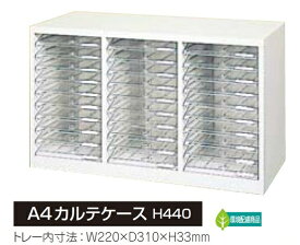 A4カルテケース【メーカー直送地域限定送料1500円】カルテ棚/整理ケーススチール家具/病院/医療/整骨院/接骨院クリニック家具/業務用/棚/収納