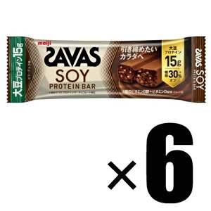 y6{Zbgz  SAVAS UoX \CveCo[ r^[`R 45g ×6{Zbg 哤veC