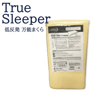True Sleeper �g�D���[�X���[�p�[ �ᔽ���܂��� ���\�܂��� �ᔽ���� FN005460