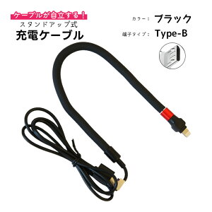 X^hAbv[dP[u AEgbgi tLVuP[u Lightning MicroUSB Type-C fXN[N [g[N ԓ CgjOP[u  iPhone Android zCg ubN y