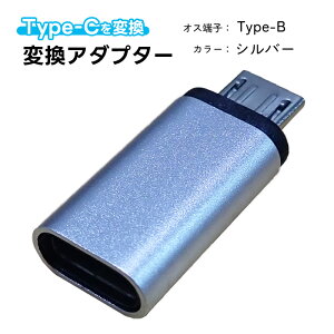 変換アダプター Type-Cを変換 選べるオス端子 Lightning Type-B (MicroUSB) 充電可能 タイプCをタイプBへ 変換コネクター スリム 持ち運び ポータブル 小さい 充電ケーブルを変換 ブラック シルバー