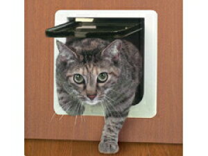 yizjt[ Lbgtbv bN\^ | L ^ ybg hA tbv o DIY