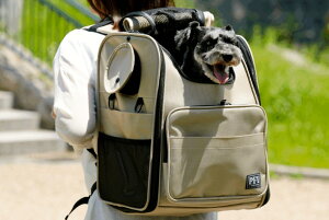 PFI@L[obO@modern@x[W@ybg@ybgL[@AEghA@U@@ʁ@Ck@L@˂@lR