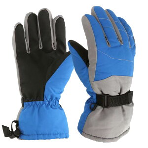 XL[O[u LbY  h 6-11Ύq AEghA h ~p ۉ h ~ߕt V  ̎q j̎q H ϖ ʊw Xm[{[h oR ubN