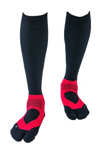 [e[W] AX[gEhPRO(v) v2 St\bNX (23-25cm, bh) { Y/fB[X ~ iK nC\bNX Stp C IF37