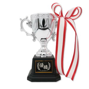 �D���J�b�v ����19.5cm �����V���o�[�J�b�v �g���t�B�[ �D�� ��������v���[�g�t�� CP145B ���� ������