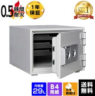 【動画】【楽天ランキング1位】【軒先渡し】ダイヤセーフ 家庭用耐火金庫 DW30-S 2キータイプ 30分耐火 B…