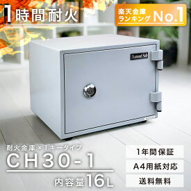 【商品動画】【楽天ランキング1位】【軒先渡し】ダイヤセーフ 家庭用耐火金庫 CH30-1 ワンキー 60分耐火 28kg シンプル 人気 小型 1年保証【送料無料】【メーカー直送】