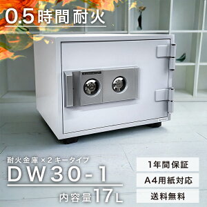yzynz_CZ[t ƒpω΋ DW30-1 2L[^Cv 30ω A4p[ 29kgyzy[J[z ^ ƒp
