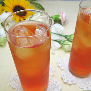 ホットにもアイスにも!インドのダージリン紅茶10gティーバッグ 10個入り