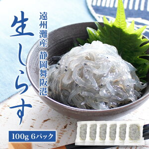 ÉBY `E炷 600gi100g 6pbNjⓀցiVXjyzx̍BY炷yYnE񂹃Oz