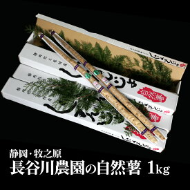 自然薯［静岡・牧之原］ 送料無料 長谷川農園の自然薯（じねんじょ）1kg