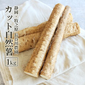 自然薯 ［静岡・牧之原］ 送料無料 長谷川農園のカット自然薯（じねんじょ）1kg