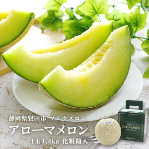_}XN É}XNiA[}j1.4kg 1 mnϔ ̓E̓E䒆Mtg