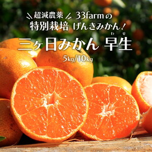 O݂ ʍ͔| _݂ 33farm̎OP݂񑁐 5kg / 10kg 2S~LTCY