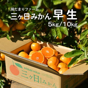 yOP݂zz܂t@[IGN̎OP݂  5kg~10kgiTCYS`LTCYʁEI𐧁j[ ÉEOP] hidamari farm Yn _ƒ ~Mtg Ε 蕨