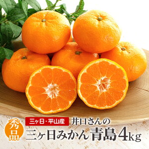 �O�����݂��� �������̎O�P���݂��� �� 4kg�i�G�i�E�T�C�YS�`2L���݁j�O�������R�Y �������� �Y�n���� �~�M�t�g ���Ε� ���蕨 ���� �̂� ���l �O���� �~�J�� ���� �Â����������G�i�݂�