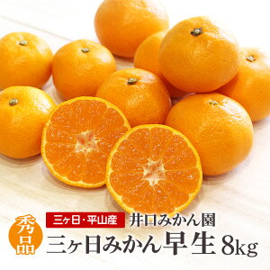 mOP݂nRY ݂񉀂̎OP݂  8kgiGNETCYS`L݁j Yn _ƒ ~Mtg Ε 蕨  ̂ l O ~J  Â