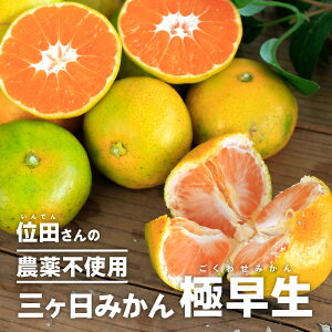 O݂ ɑm_sgpn 2S~LTCY ʓct@[iINDENt@[j _sgpEw엿sgpEܕsgpEL@엿͔| OP݂ ɑi킹jʓc݂ 